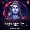 Ashutosh Shashank Shekhar - Sonu Nigam