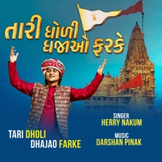 Tari Dholi Dhaja Farke