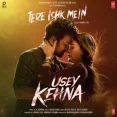 Usey Kehna - Tere Ishk Mein