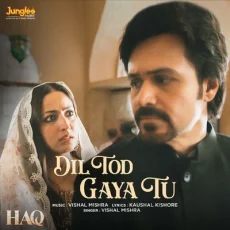 Dil Tod Gaya Tu - Vishal Mishra