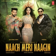 Naach Meri Naagin (Neelkamal Singh, Paradox, Simar Kaur)