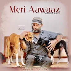 Meri Aawaaz - Mohit Chauhan