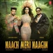 Naach Meri Naagin (Neelkamal Singh, Paradox, Simar Kaur)