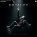 Promise - Aditya Rikhari
