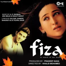 Tu Fiza Hai (Sonu Nigam)