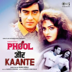 Premi Aashiq Aawara ( Kumar Sanu)