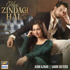 Meri Zindagi Hai Tu -Asim Azhar, Sabri Sisters