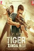 Tiger Zinda Hai (2017)