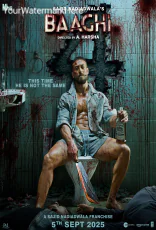 Baaghi 4
